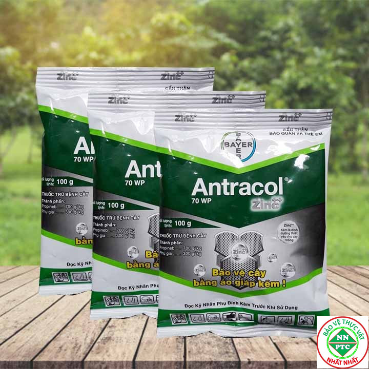 Sản Phẩm trừ nấm bệnh Antracol 70wp gói 100g dùng cho cây trồng