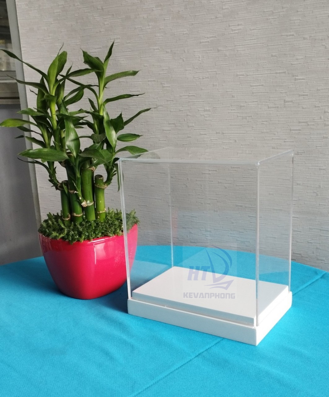 HỘP MICA TRƯNG BÀY ĐẾ GỖ ( Trắng, Đen)