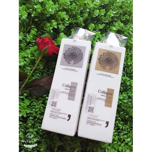 [ XẢ KHO ] Combo Dầu Gội Xả COLLAGEN VINGE