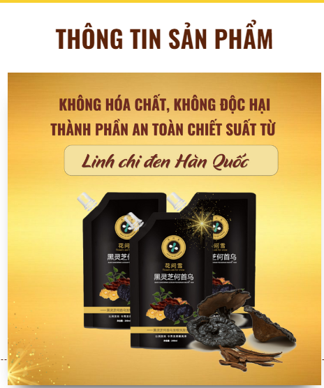 Dầu gội cao phủ bạc linh chi đen