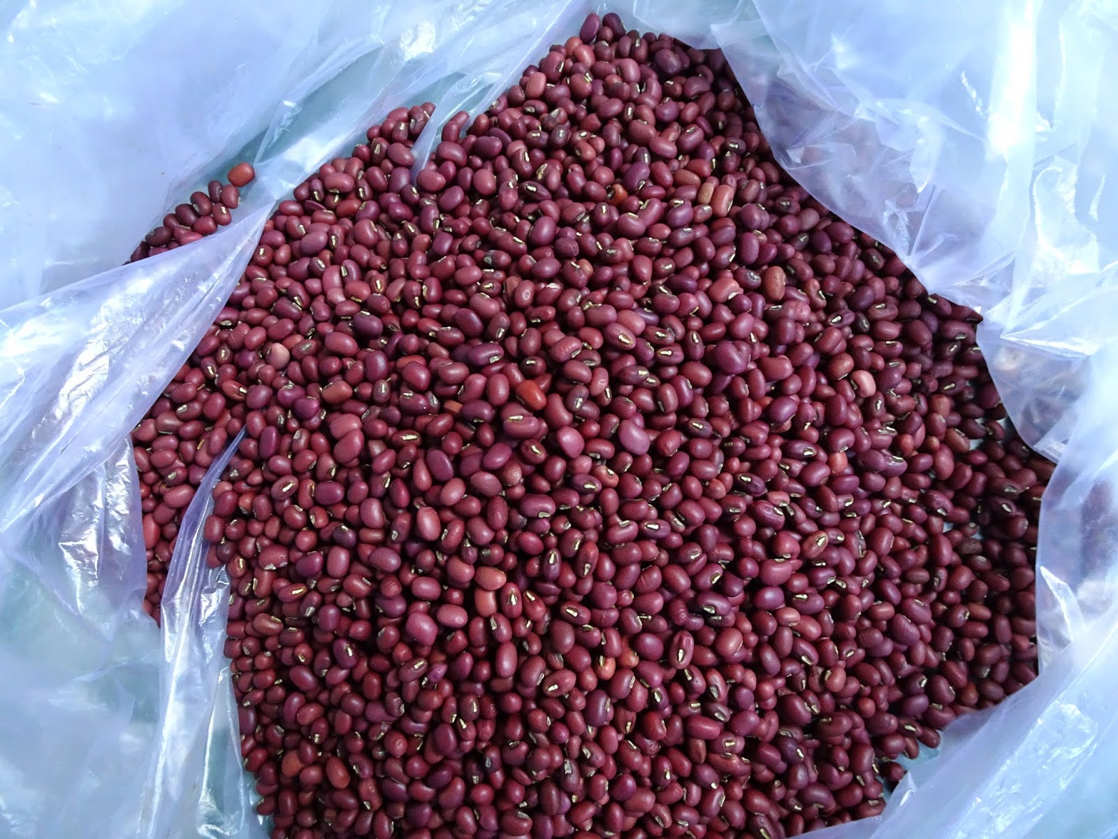 1kg đậu đỏ quê hạt nhỏ