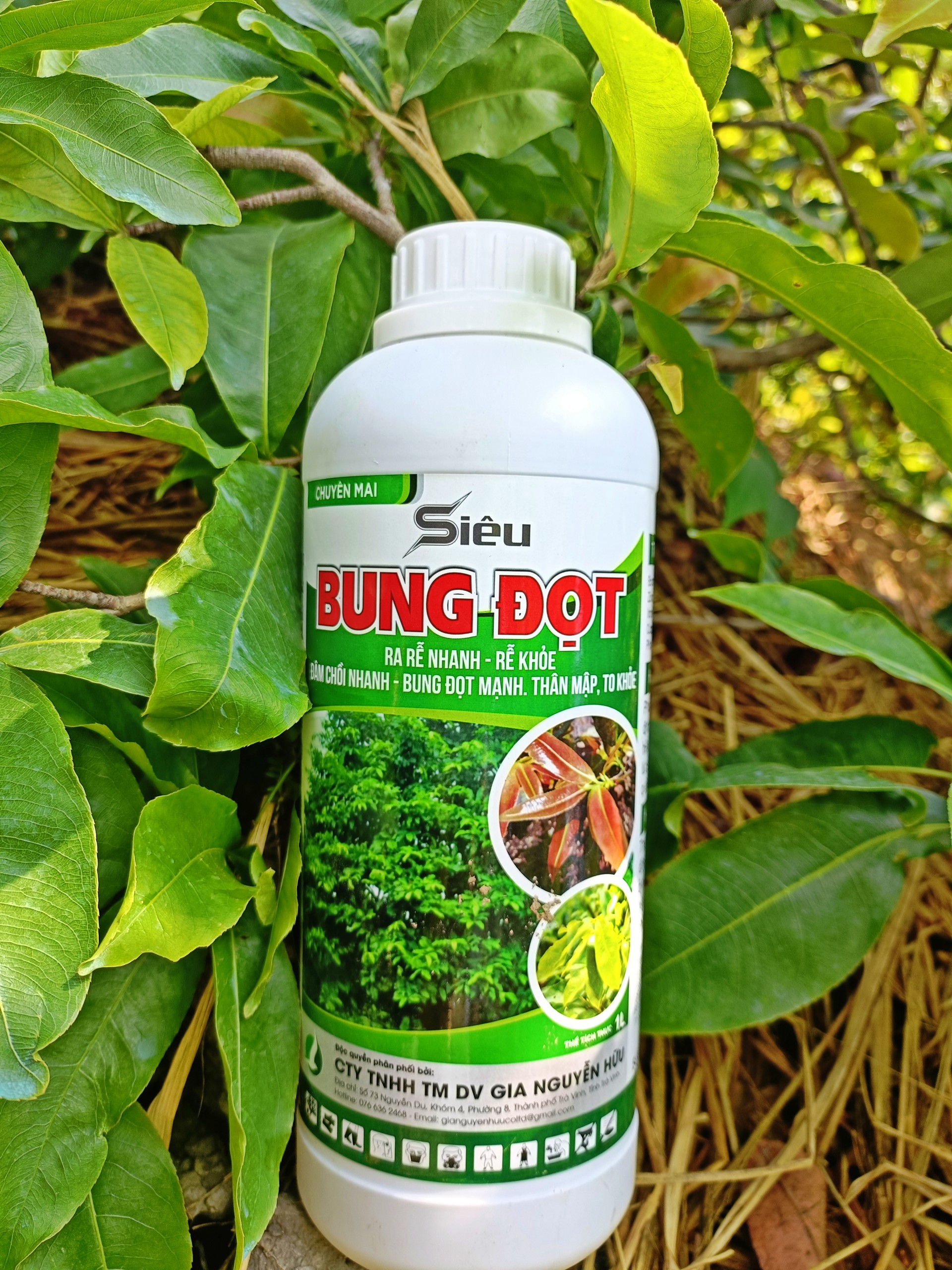 BUNG ĐỌT RA RỄ -CHUYÊN MAI-BUNG ĐỌT PHỤC HỒI CÂY ( dung tích 1 lít)