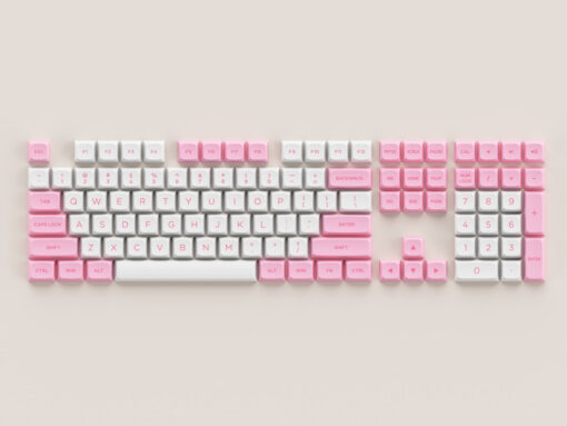 AKKO Keycap set – Prunus Lannesiana (PBT Double-Shot/ASA Low profile/155 nút)