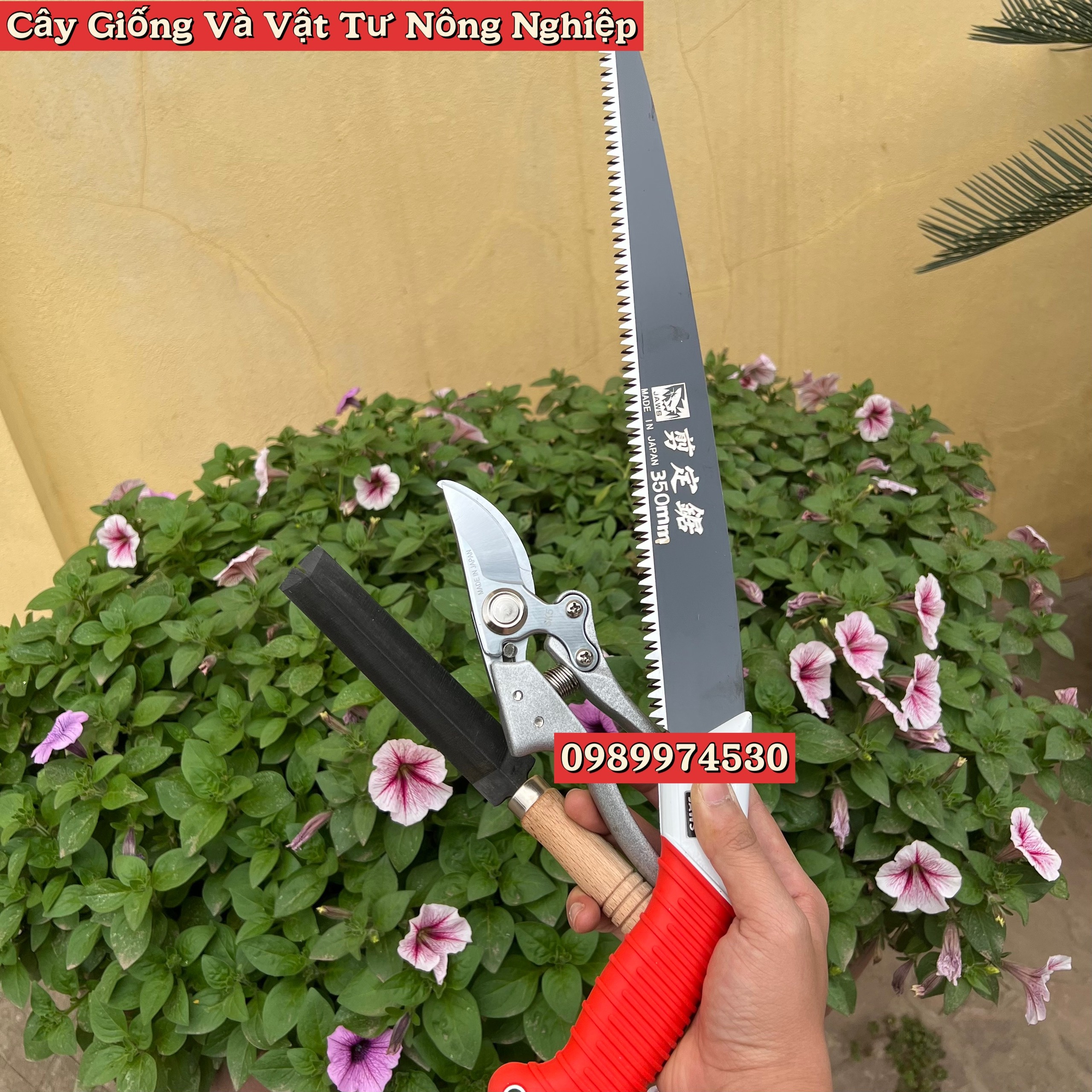 Bộ Cưa gỗ cầm tay Nhật Bản + Kéo cắt cành SK5 + Dũa cưu,dũa kéo, Dụng cụ cắt tỉa cây cảnh, cây bonsai, mai vàng