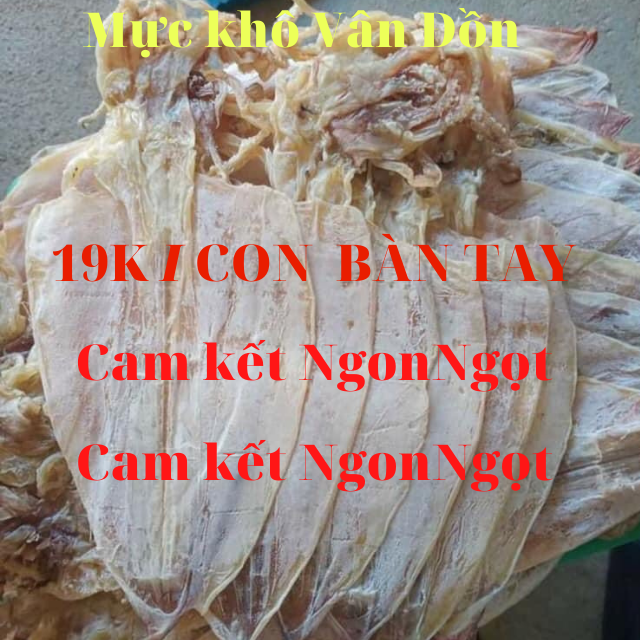[Cực Ngon, Ngọt]19k/1 Con Mực Khô Câu Vân Đồn, Quảng Ninh, Bố Mẹ em đi biển, Mực Khô To Bằng Bàn tay, Y Hình, Mực Khô - Khô Mực To Ngon Rẻ, Mực Khô Vân Đồn, Mực Khô Ngon, Mực Khô Chất Lượng, Khô Mực Ngon, Khô Mực Vân Đồn