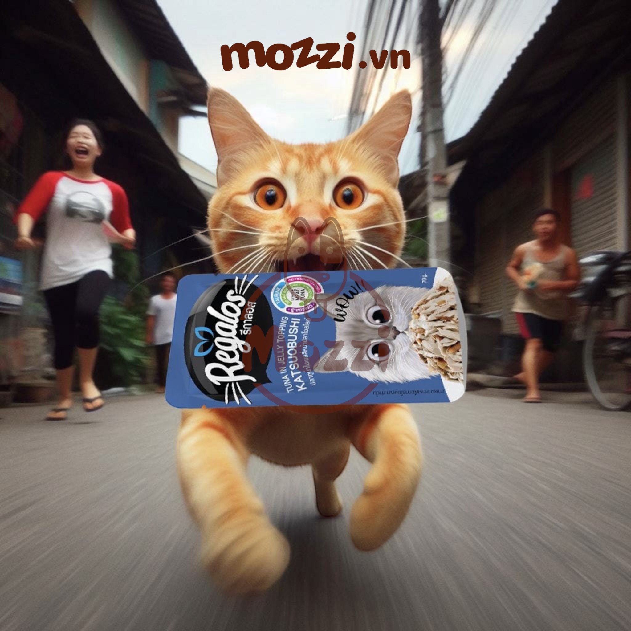Pate cho mèo con Regalos Kitten Gói 70gr