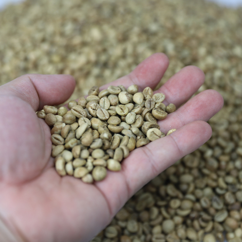 Cà Phê ROBUSTA HONEY Rang Mộc Nguyên Chất S18