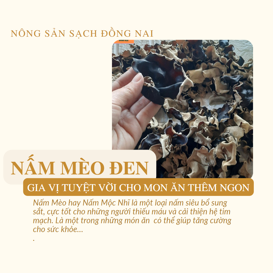 wood ear mushroom