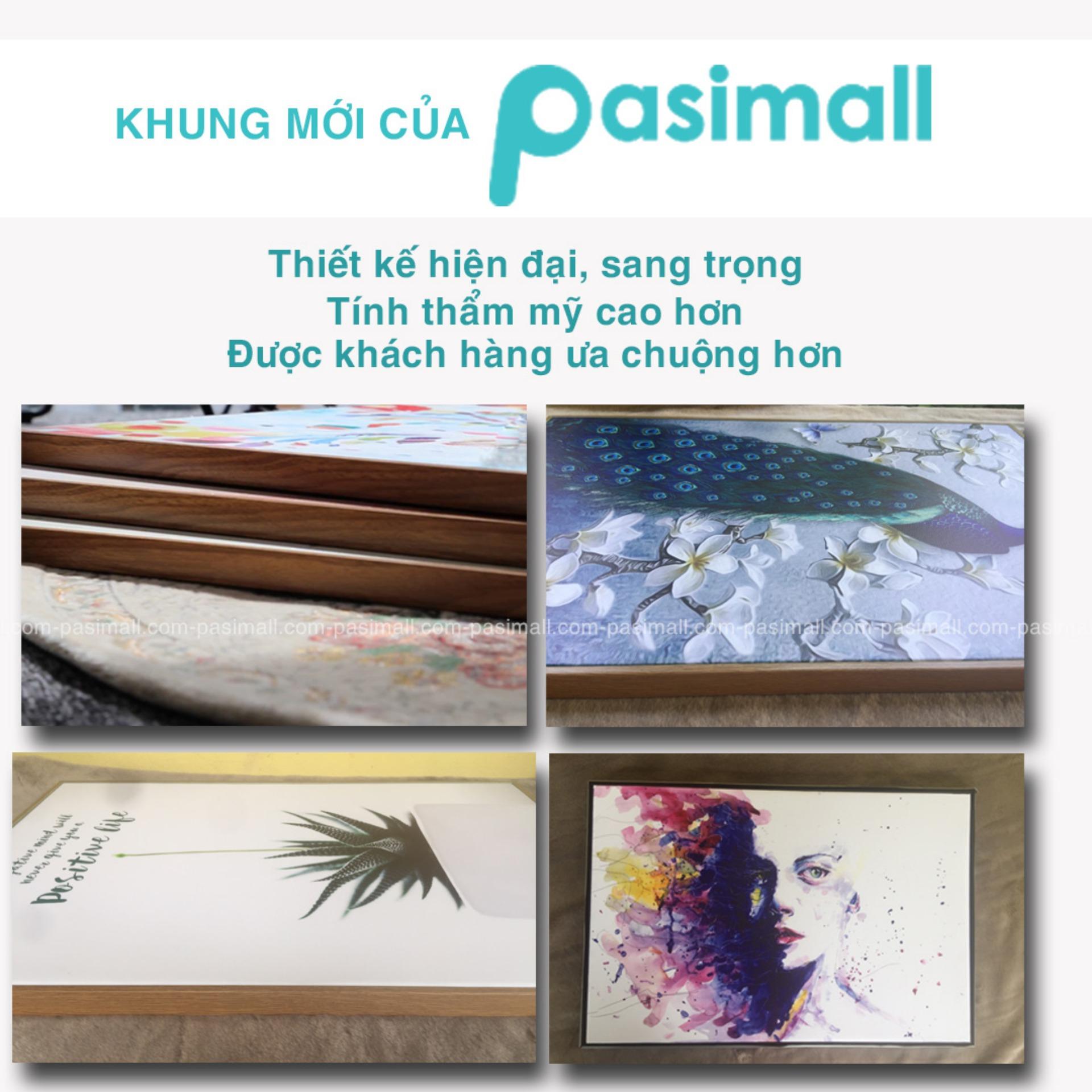 Tranh treo tường Canvas Pasimall Phật ngủ có khung