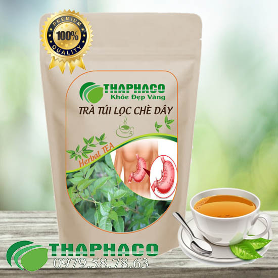 Trà Túi Lọc Chè Dây, Tốt Cho Tiêu Hóa - Thaphaco
