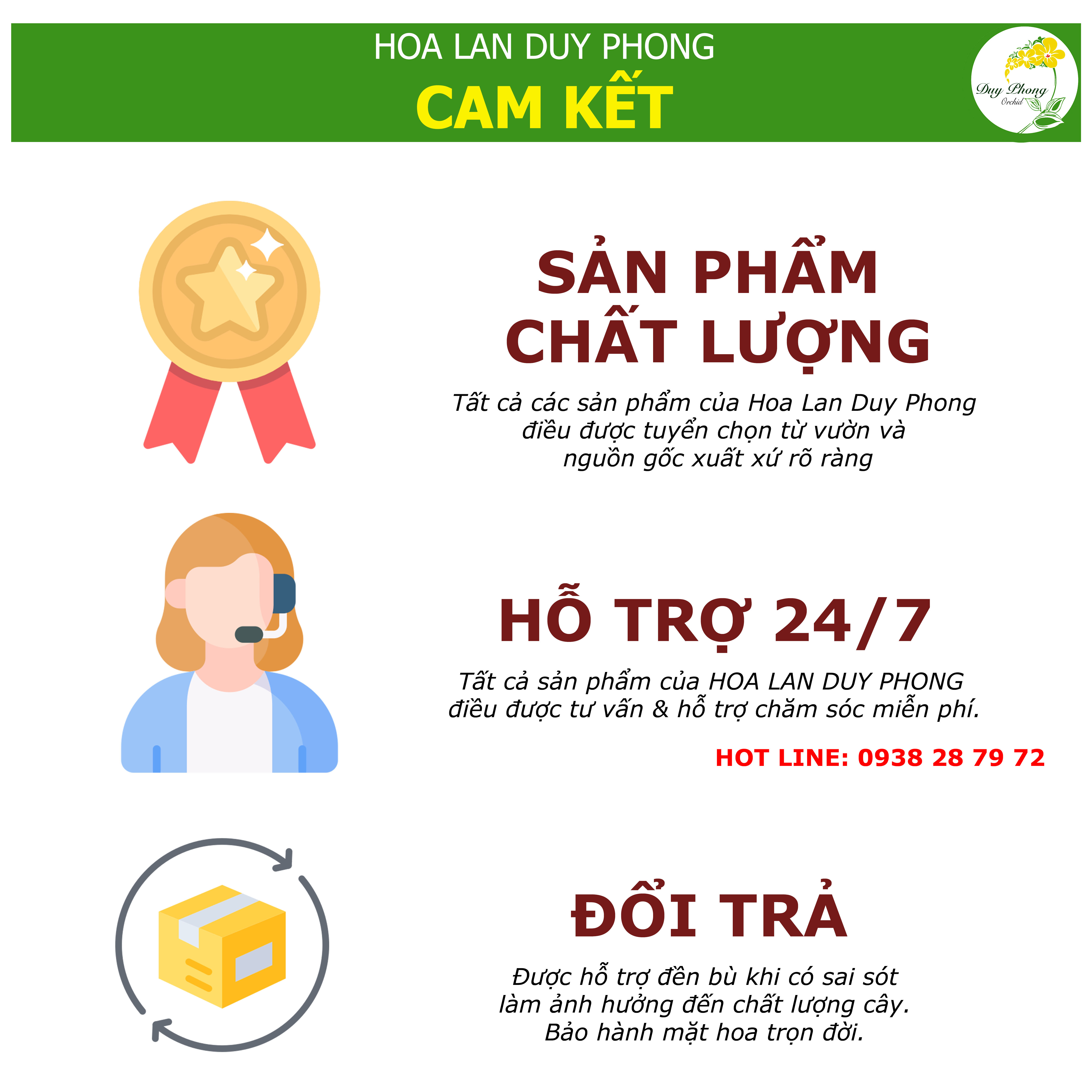 Phân Chì Nhật Cho Lan Dạng Tan Chậm 14-13-13+ME