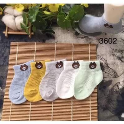 SET 5 ĐÔI TẤT VỚ GẤU MÙA HÈ CHO BÉ