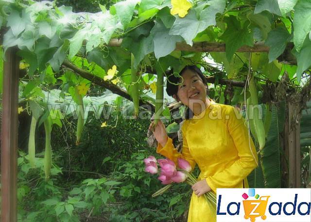 1Gr Hạt Giống Mướp Hương (A1.401| G5*W34*M158)