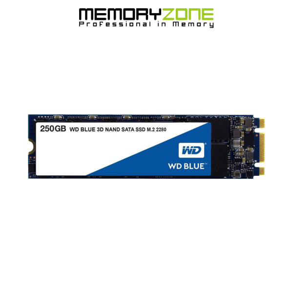 [HCM]Ổ cứng SSD Western Digital Blue 3D-NAND M.2 2280 SATA III 250GB WDS250G2B0B - Hãng Phân Phối Chính Thức