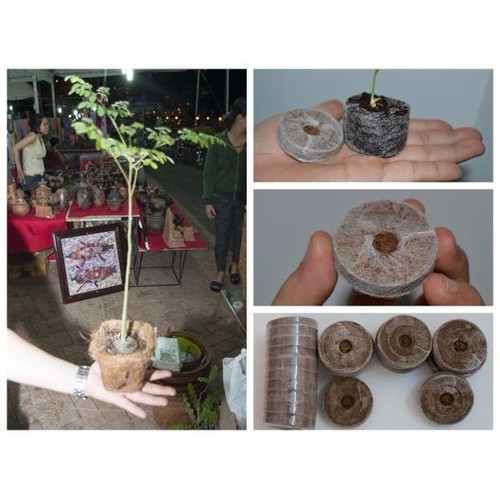 Viên nén ươm hạt xơ dừa - viên nén ươm hạt - 10 viên