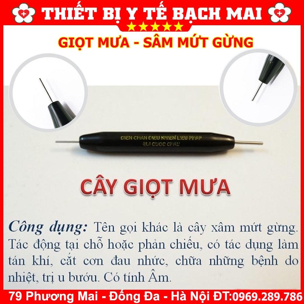 Cây giọt mưa diện chẩn - xâm mứt gừng