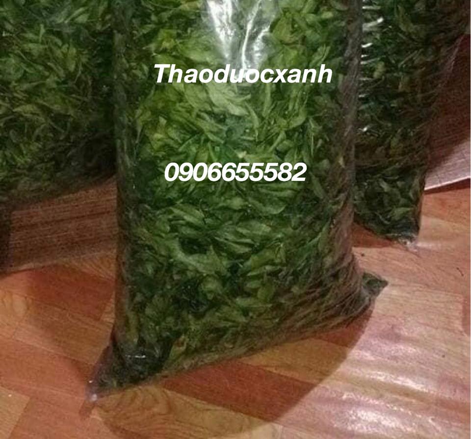 [HCM]500G LÁ MÂC MẬT KHÔ LẠNG SƠN SẤY LẠNH