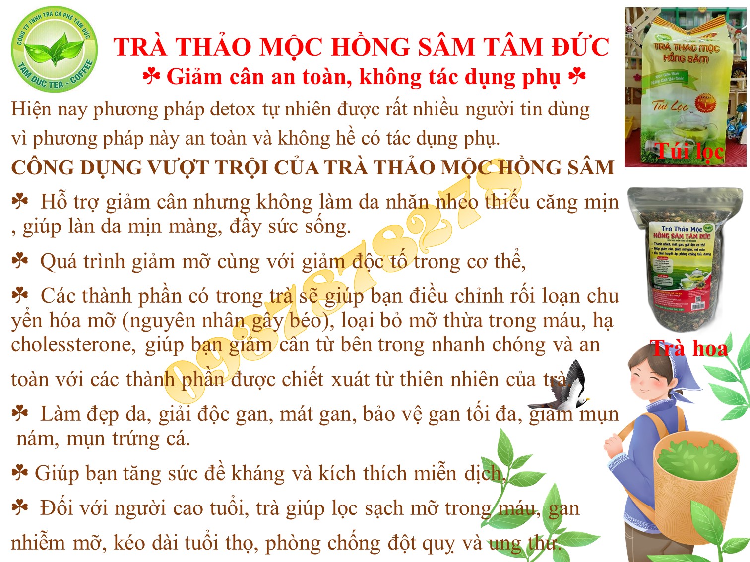 [HCM]Combo 5 gói trà thảo mộc hồng sâm tâm đức