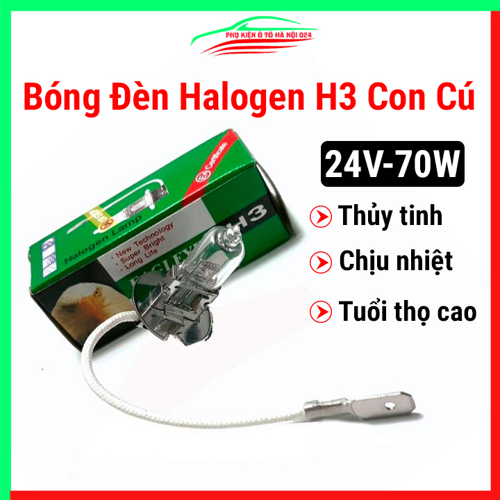 Bóng đèn halogen H3 Con Cú 24V 70W PK22S lắp đèn ô tô siêu sáng