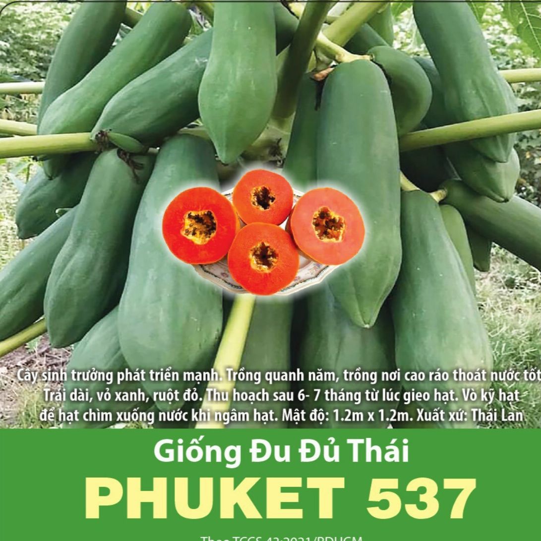 Hạt Giống Đu Đủ Thái Phuket Sai Trái (20 Hạt)