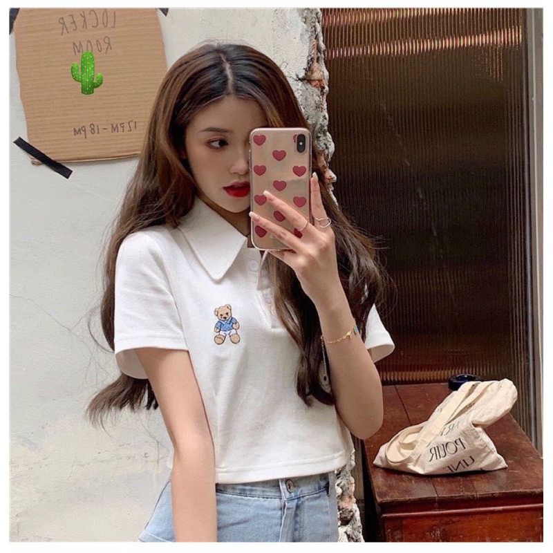 Áo thun cổ trụ thiêu gấu siêu hot