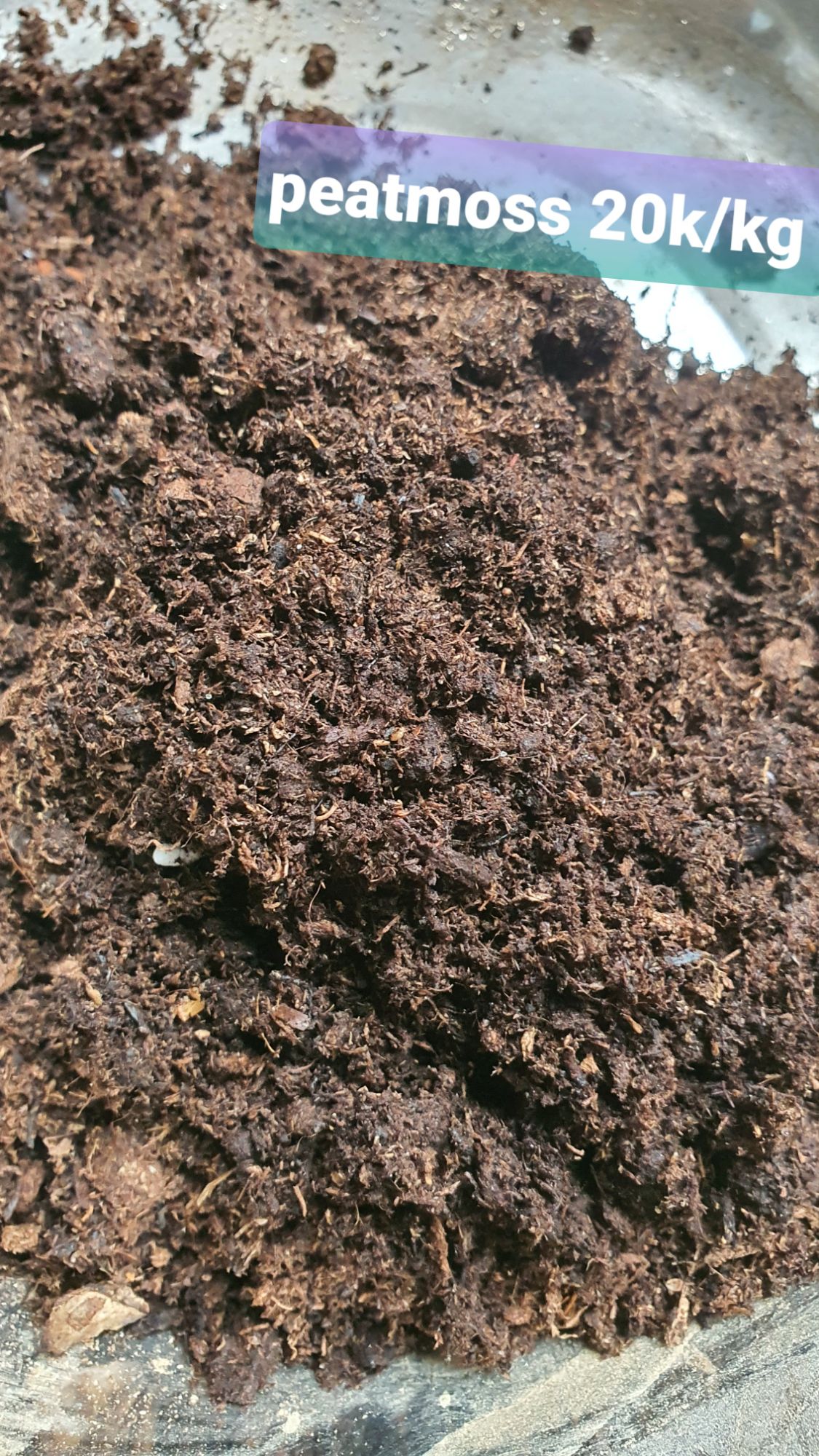 1kg Peatmoss Rêu mục Than bùn ( Peatman )