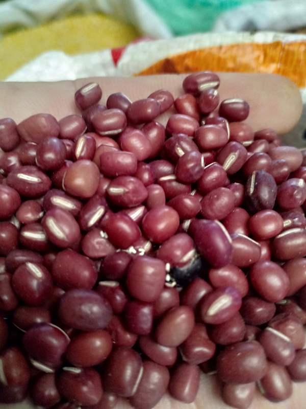 1Kg Đậu đỏ hữu cơ Đà Lạt loại 1