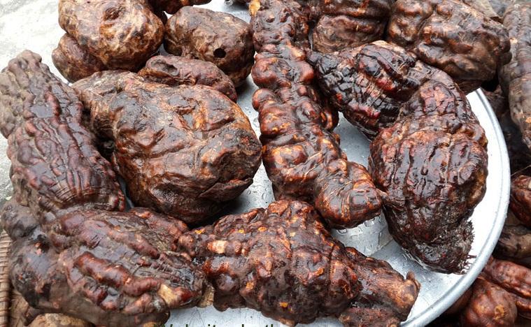 Hà Thủ ô đỏ 500g khô