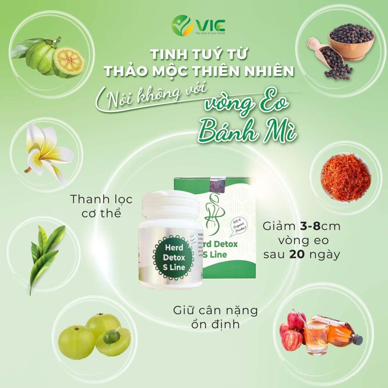 Detox SLine giảm mỡ bụng, đánh tan mỡ bụng