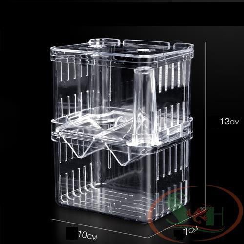 Lồng dưỡng cá tép mica diy hít thành hồ tách dưỡng cây, cá đẻ