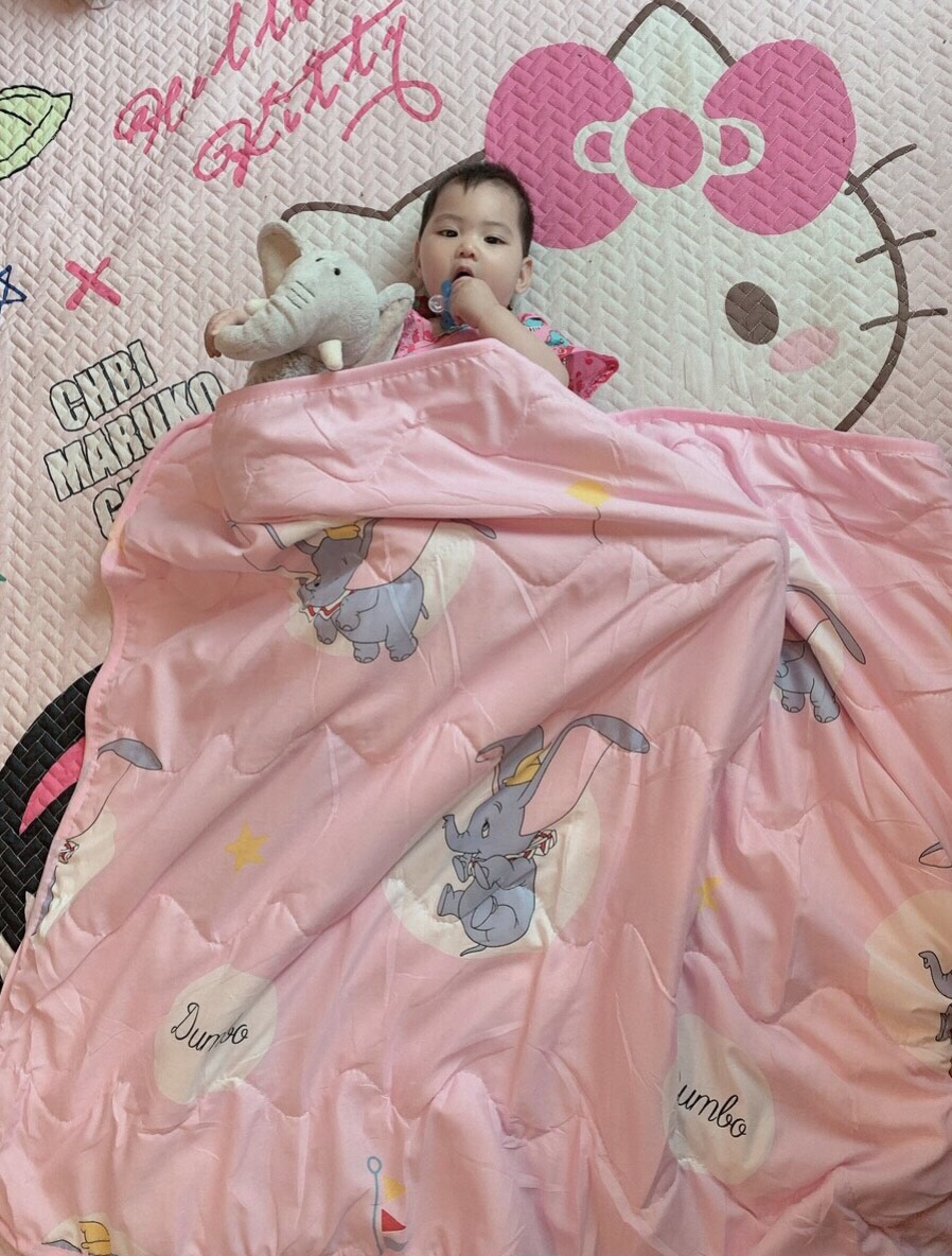 Chăn đũi đắp hè cho bé 1m1x1m3