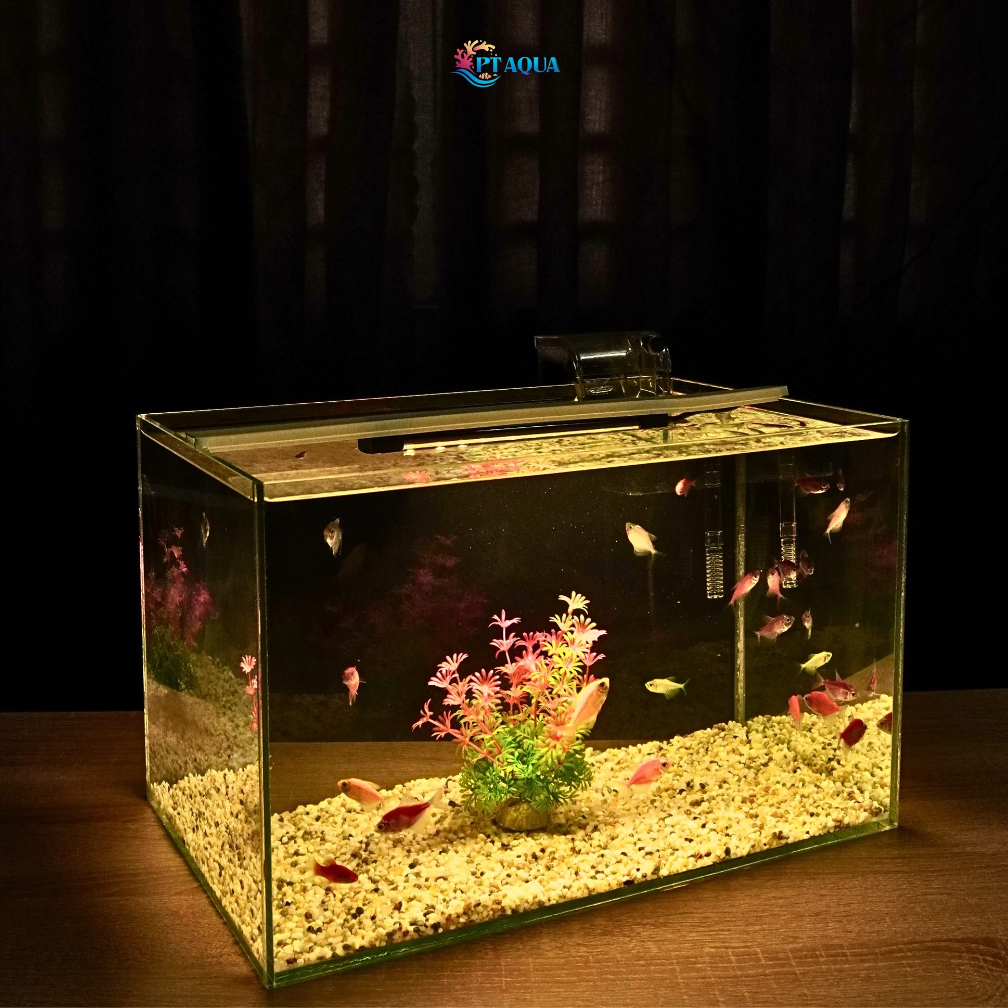 Đèn bể cá FULL VÀNG dành cho hồ cá cảnh