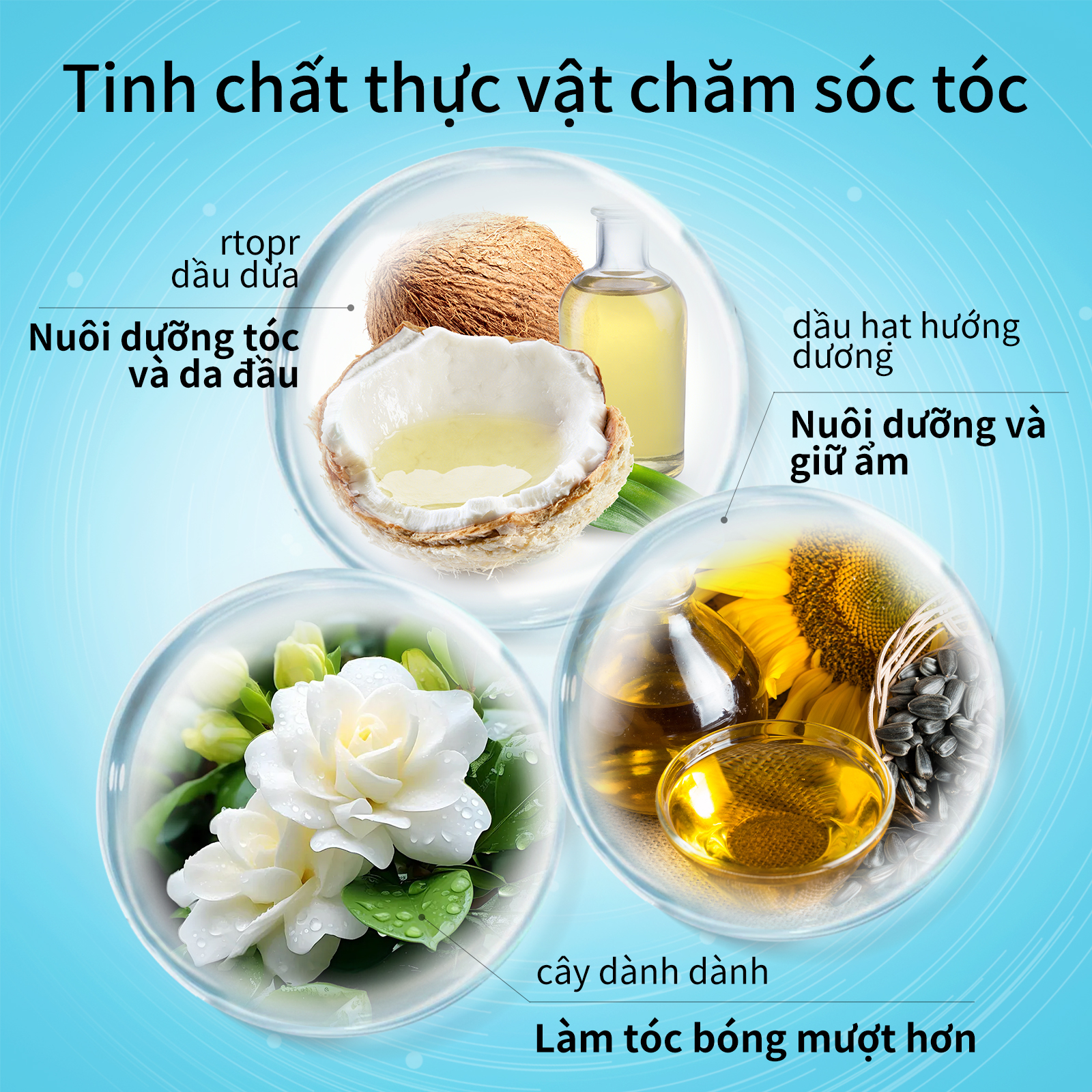 Tinh chất chống rụng tóc và kích thích mọc tóc RtopR - INTL