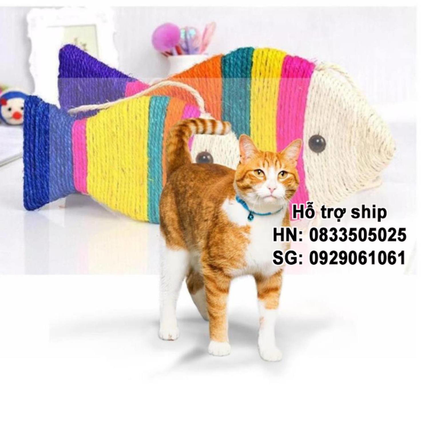 Hanpet - Cào móng mèo giấy bàn cào móng cho mèo 5 loại cá thừng chống mèo cào sô pha và mèo phá đồ đạc