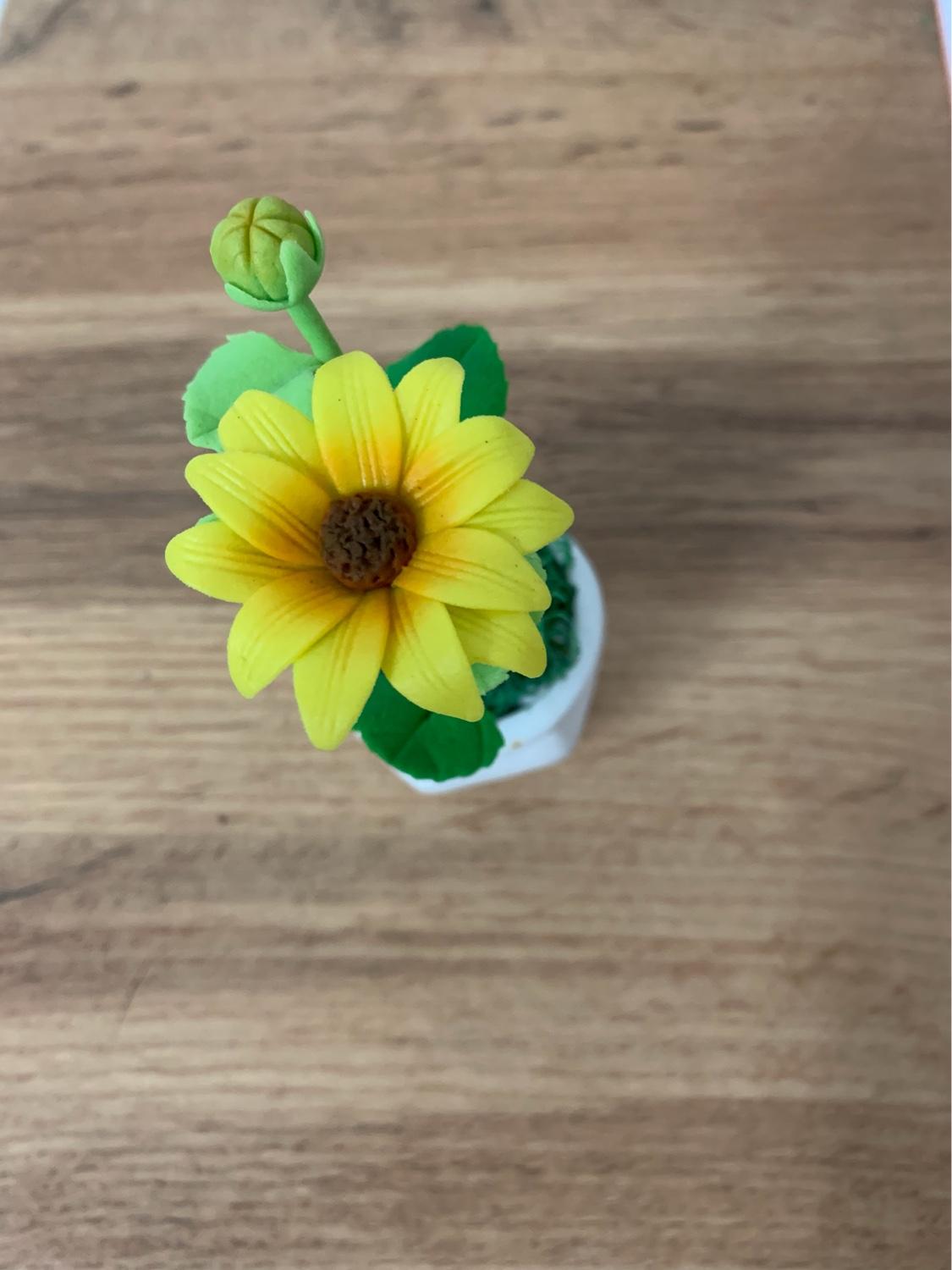 [HCM]Chậu hoa đất sét mini thủ công handmade