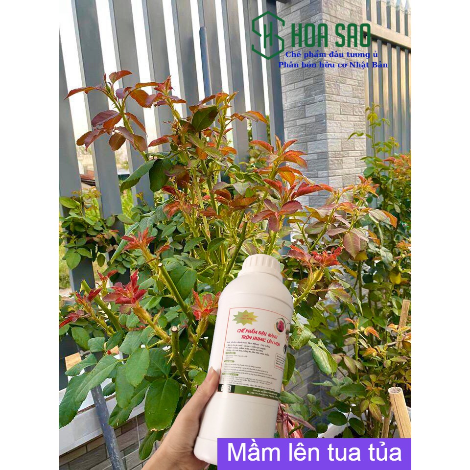 Chế phẩm đậu nành trộn Humic, chuối, trứng(combo 1 chai đậu tương+2kg phân Nhật)