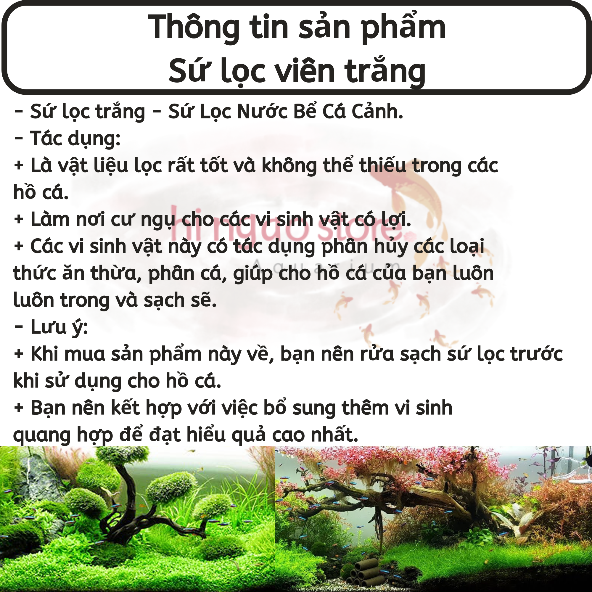 500g Sứ lọc viên trắng tạo vi sinh - Vật liệu lọc cao cấp | Hingaostore.