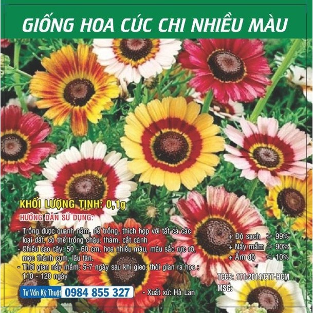Hạt giống hoa Cúc Chi nhiều màu TN