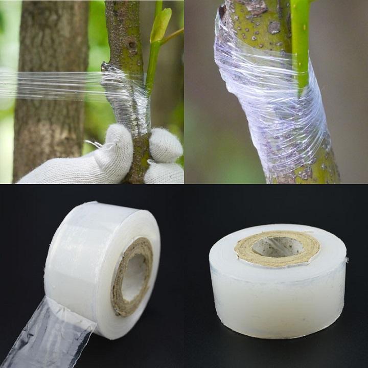 Băng keo ghép cành tự hủy 3cm