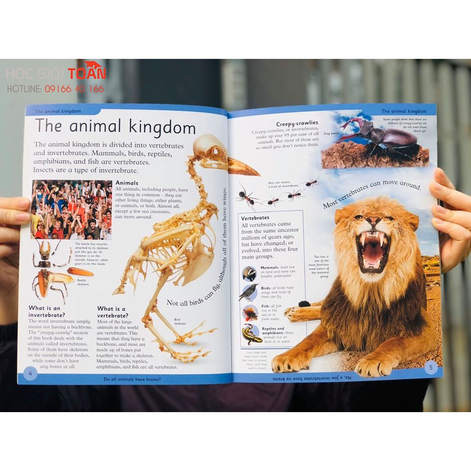 Sách First Animal Encyclopedia - Á Châu Books
