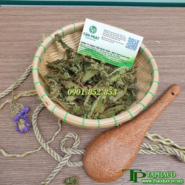 Lá đu đủ đực 500g - Hàng sạch xanh chất lượng cao với mức giá tốt nhất thị trường