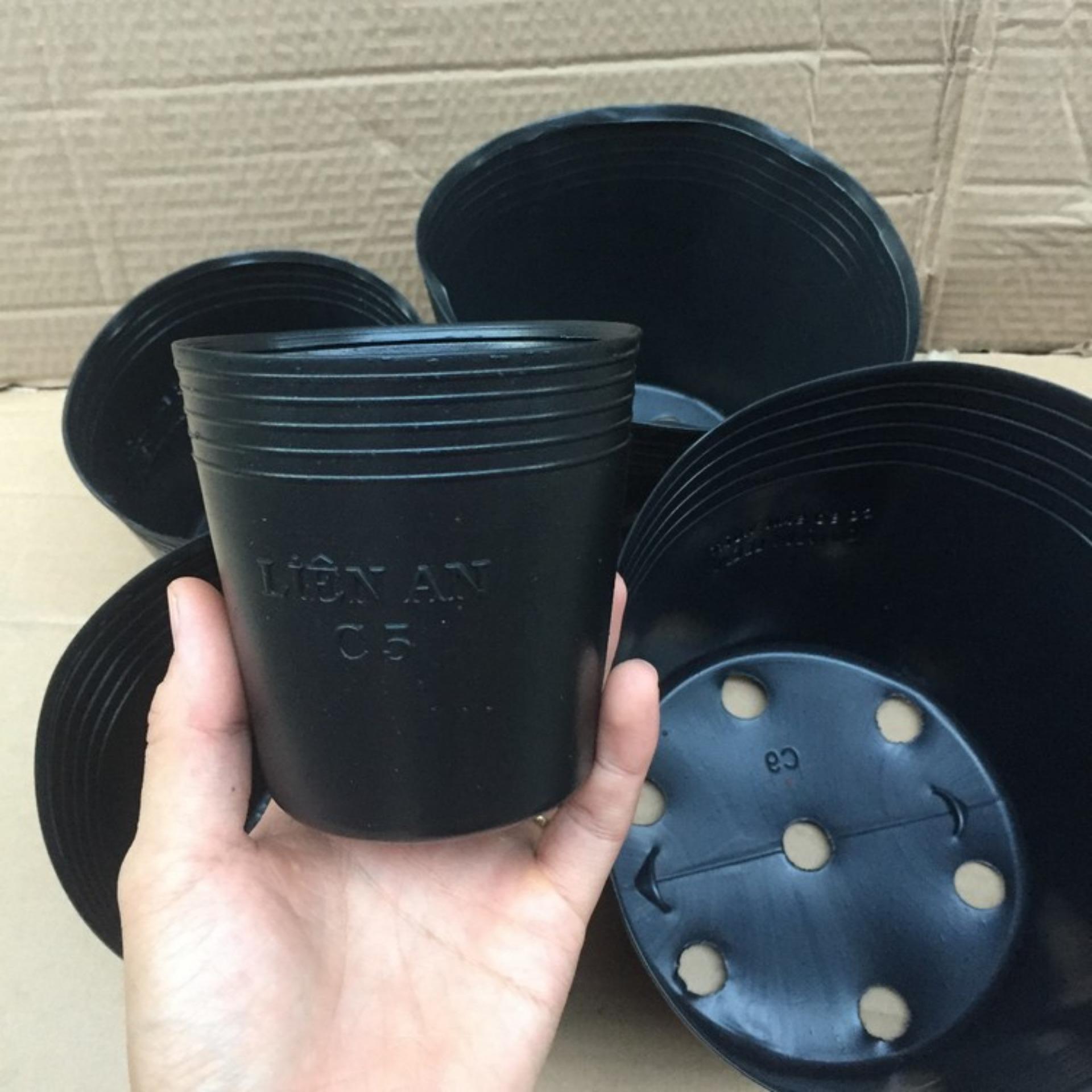 Bộ 100 Chậu trồng Hoa, Cây cảnh C5 (10x11cm)