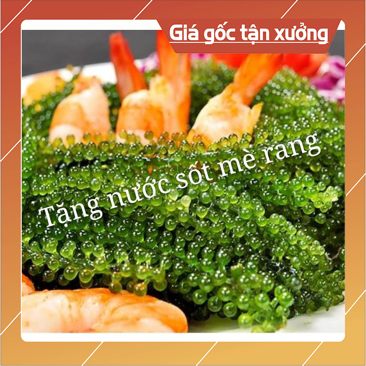 200gr Rong Nho Tách Nước giá sỉ