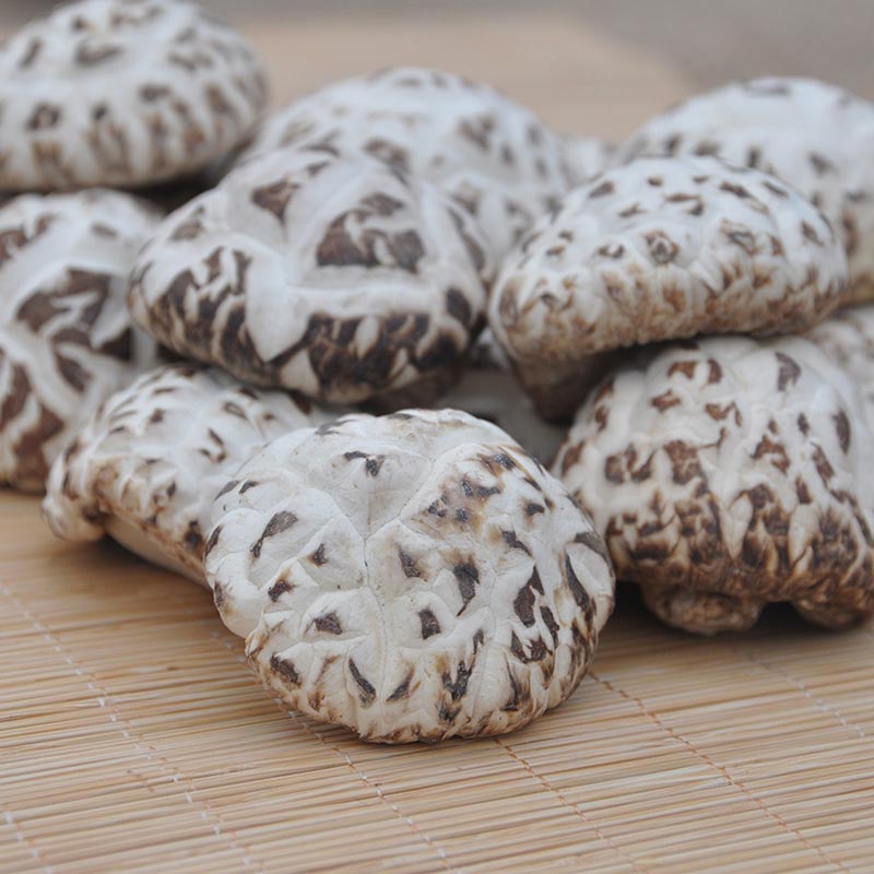 Nấm Bông, Nấm Hoa Cô 100gr