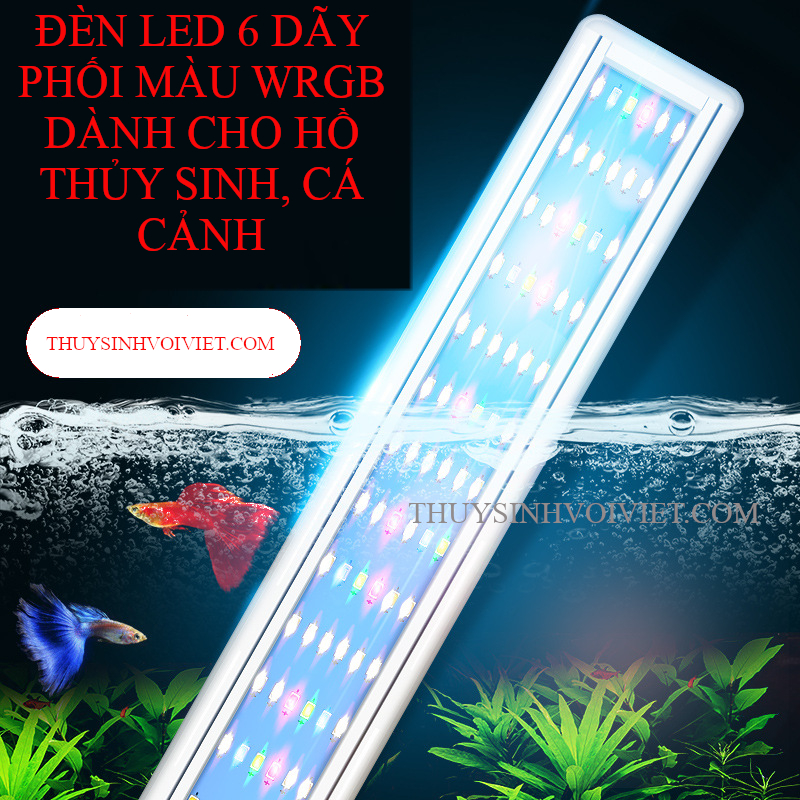 Đèn led 4 và 6 dãy ánh sáng trắng hoặc phối màu WRGB dành cho hồ thủy sinh