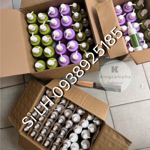 Dầu gội xả ACAI BERRY 950ml (pháp)