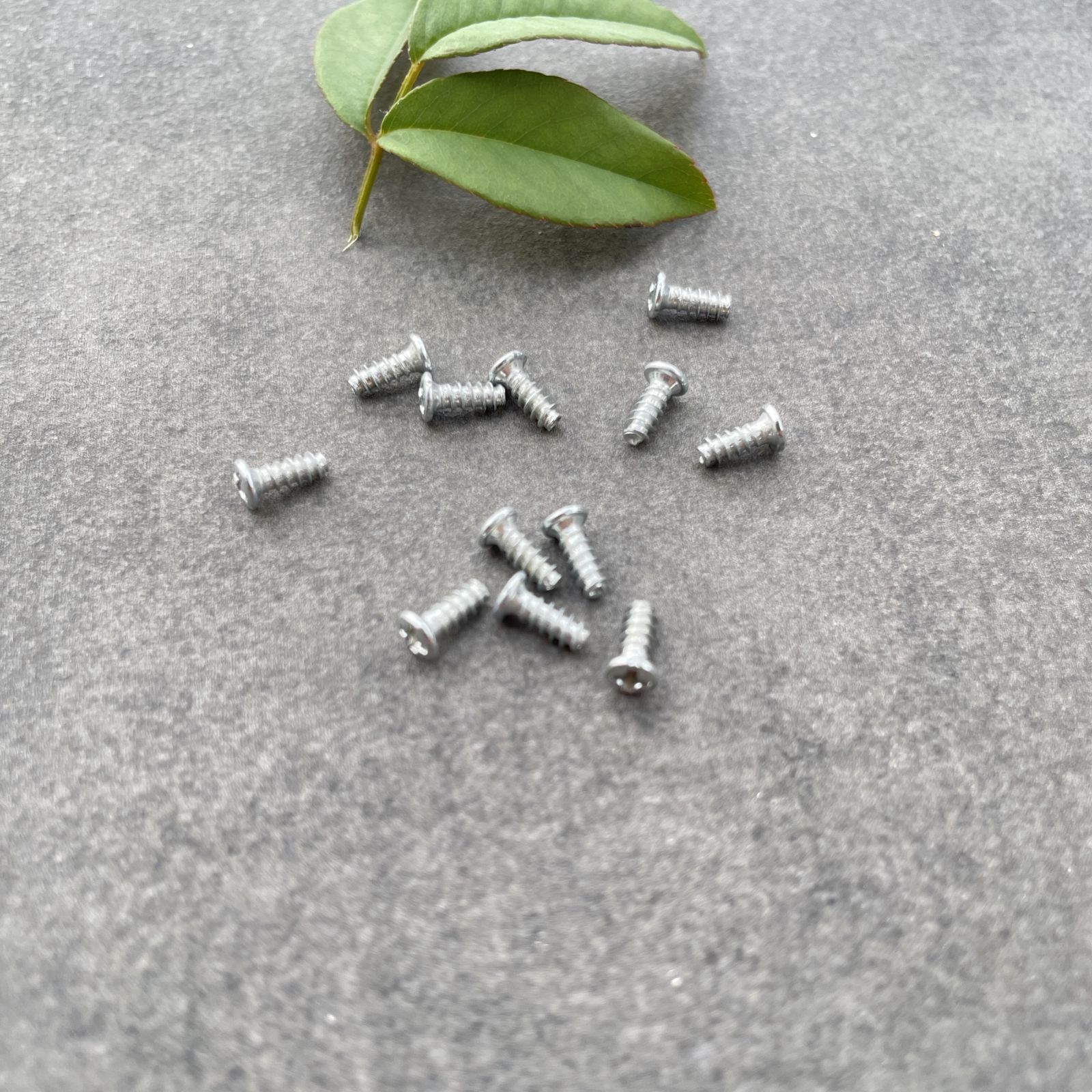 Bộ 10 cái ốc vít M2.3 dài 6mm