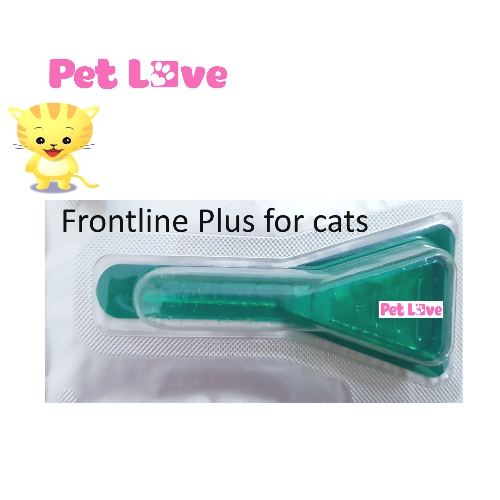 1 tuýp Frontline Plus nhỏ gáy diệt ve rận, bọ chét trên mèo
