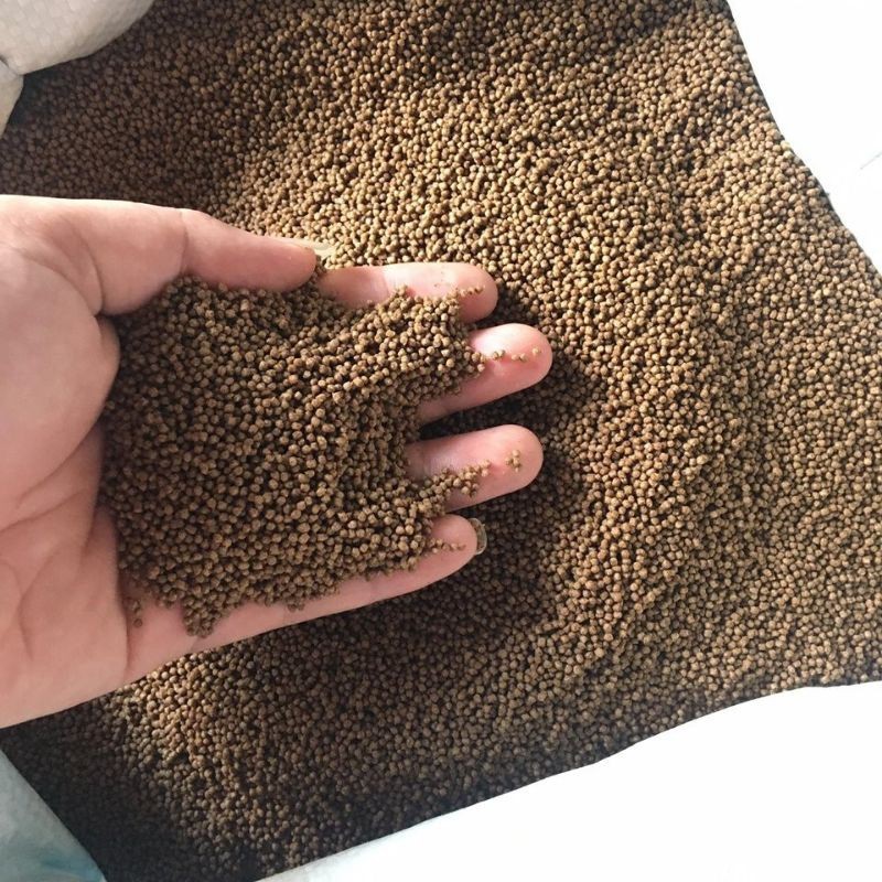 1kg Cám cá Koi, cá vàng Gold Koi Feed AF CA01 hạt 1ly (40% đạm)