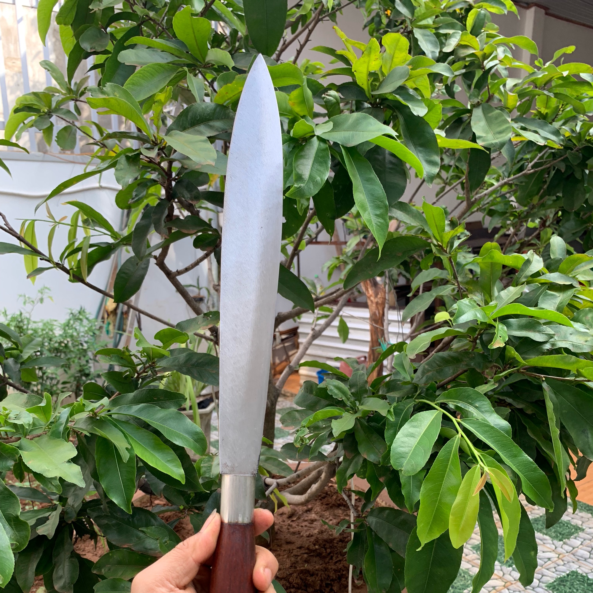 Dao nhọn chặt cây + xương + lọc...